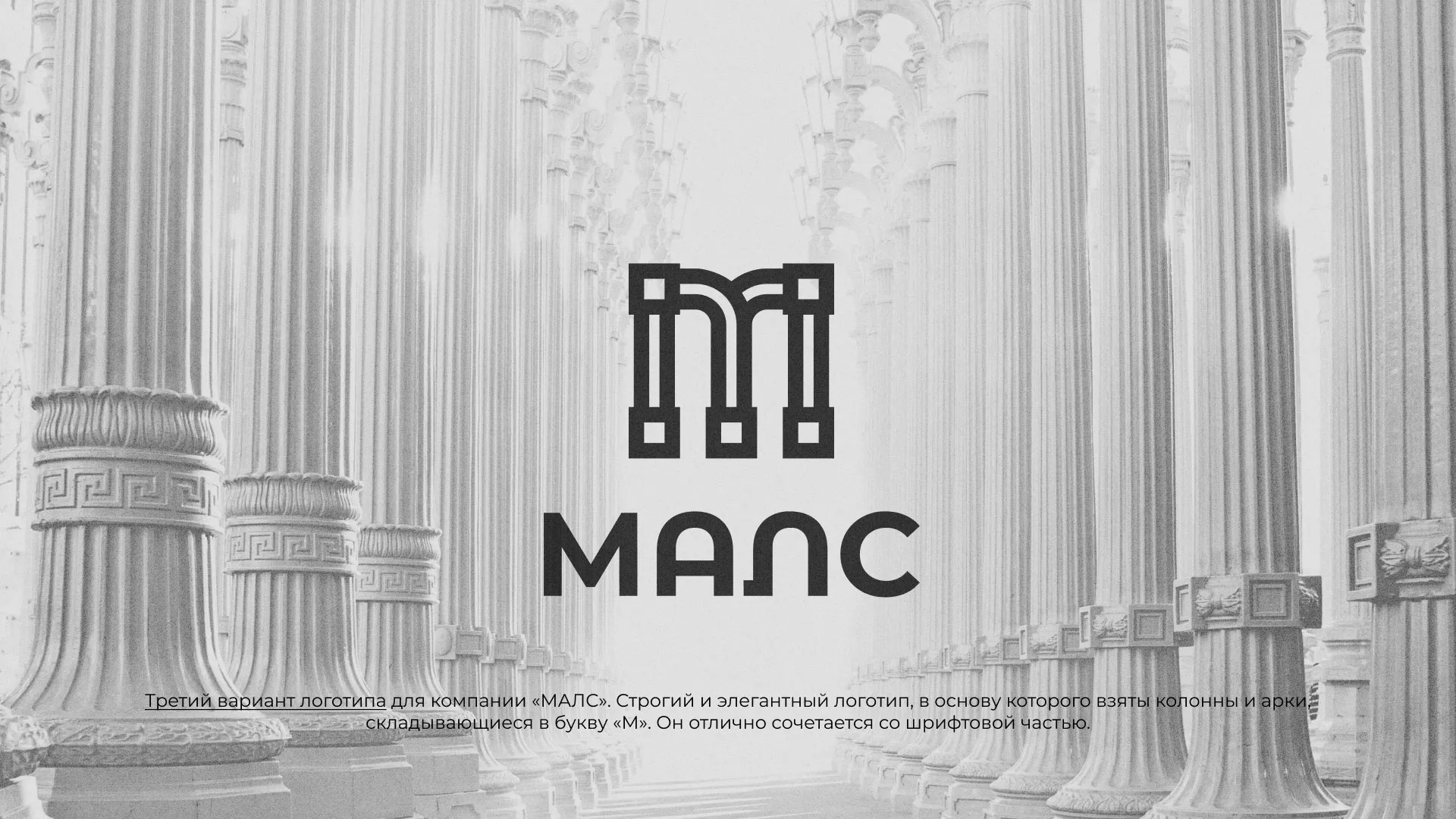 Разработка логотипа компании «МАЛС» в Тетюшах
