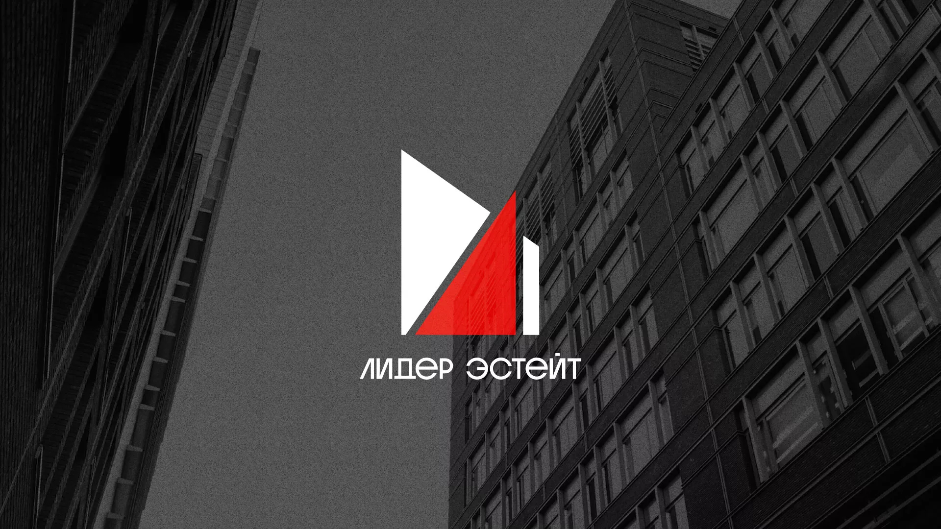 Сделали логотип для агентства недвижимости «Лидер Эстейт» в Тетюшах